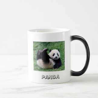 Tasse de panda de roulement