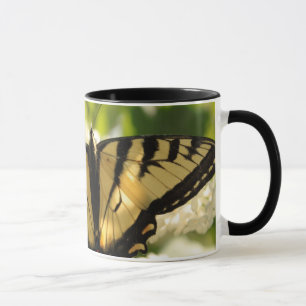 Tasse de papillon