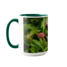 Tasse de papillon avec des fleurs de milkweed