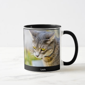 Tasse de Pepin et de Louis