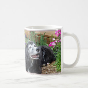 Tasse de petit pain de cocker