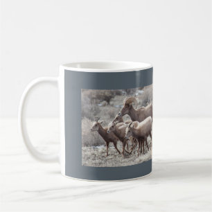 Tasse de photo de mouflons d'Amérique de désert