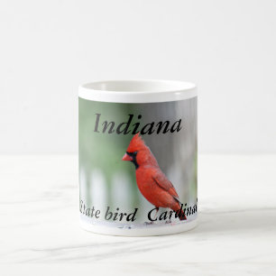 Tasse de photo d'oiseau d'état de l'Indiana