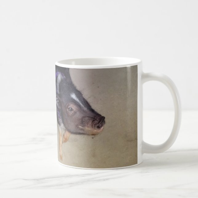 Tasse de photographie de porc gonflée par pot (Droite)