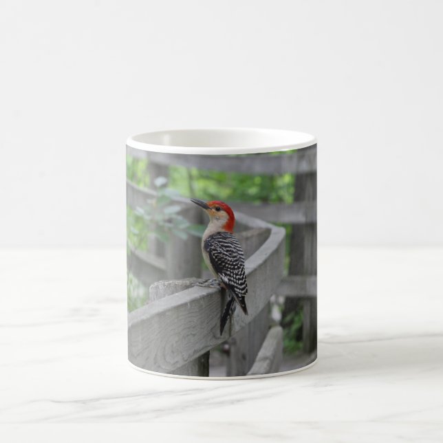 Tasse de pic à ventre rouge (Centre)