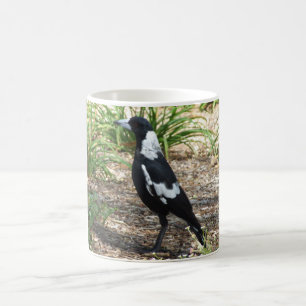 Tasse de pie australienne