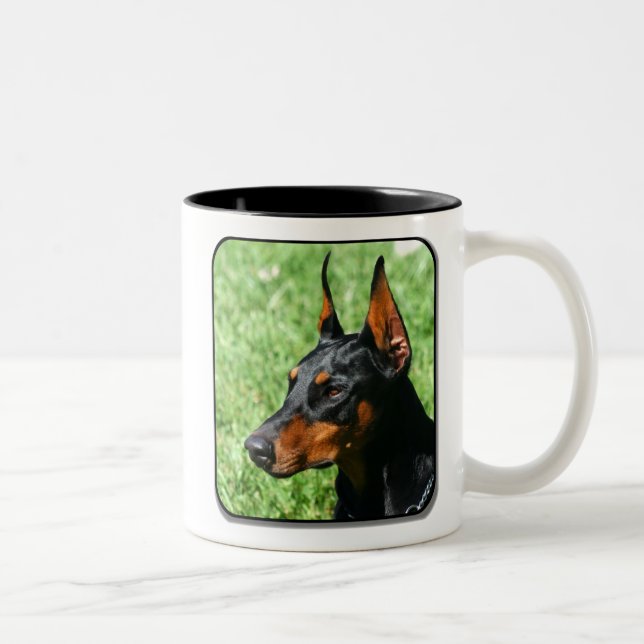 tasse de pinscher de dobermann (Droit)