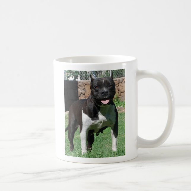 Tasse de Pitbull (Droite)