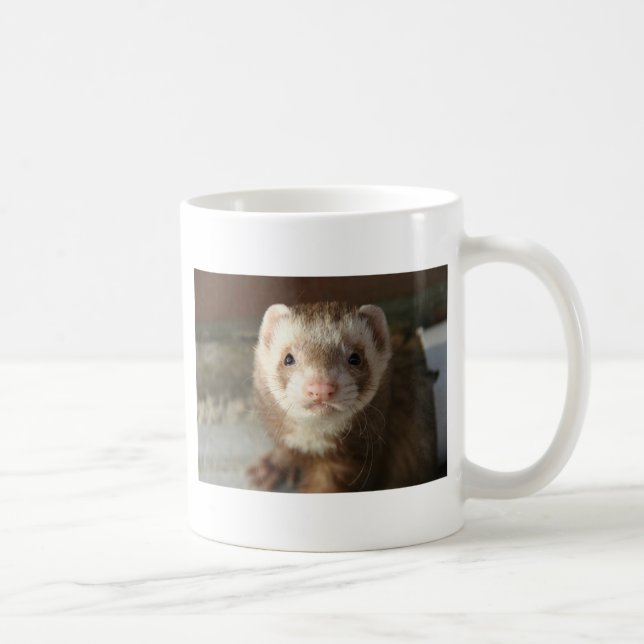Tasse de plan rapproché de furet (Droite)