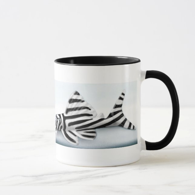 Tasse de Pleco de zèbre (Droite)