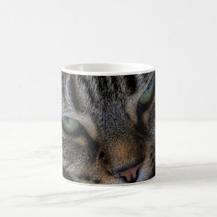 Tasse de plots réflectorisés