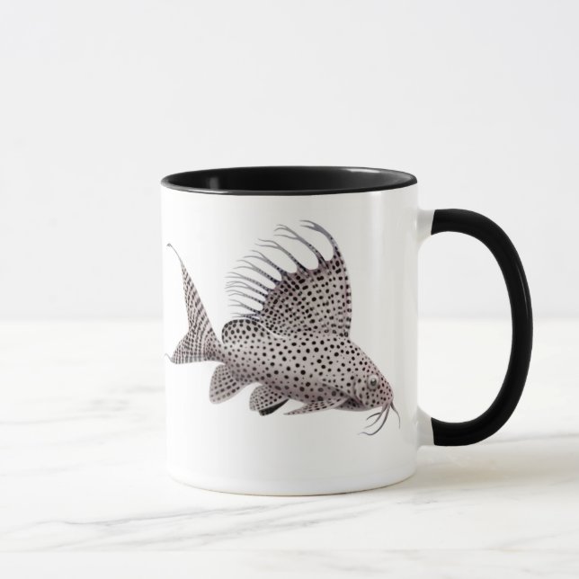 Tasse de poisson-chat d'eupterus de Synodontis (Droite)