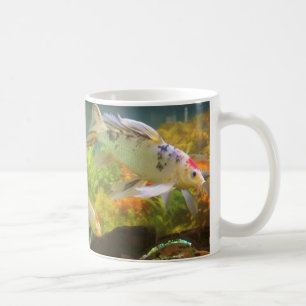 Tasse de poissons de Koi