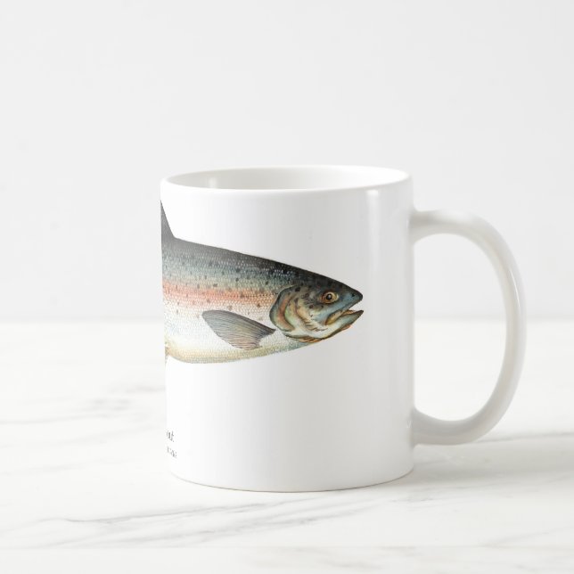 Tasse de poissons de truite arc-en-ciel (Droite)