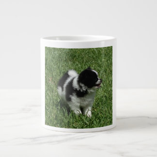 Tasse de Pomeranian