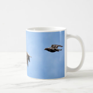 Tasse de positions de vol de pigeon