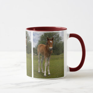 Tasse de poulain