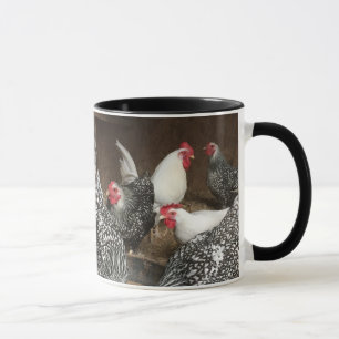 TASSE DE POULET