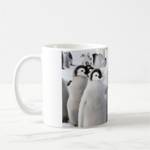 Tasse de poussins de pingouin d'empereur