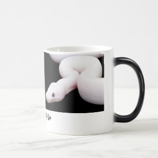 Tasse de python de boule de Leucistic