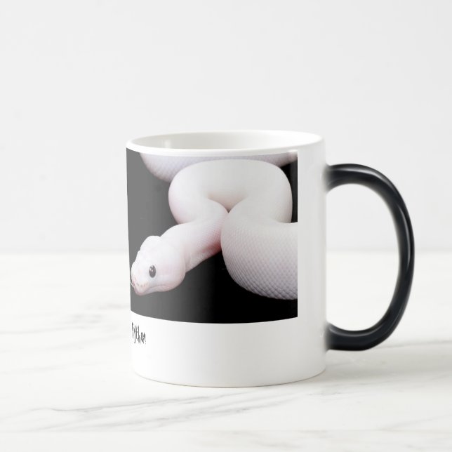 Tasse de python de boule de Leucistic (Droite)