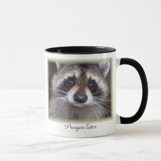 Tasse de raton laveur - lotor de Procyon
