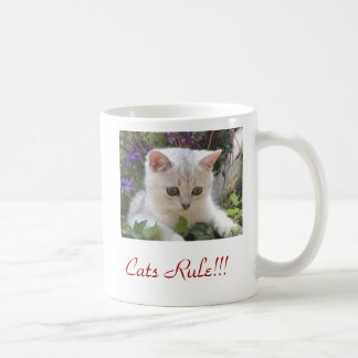 Tasse de règle de chat