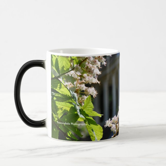 Tasse "de ressort de terre de parc" (Gauche)
