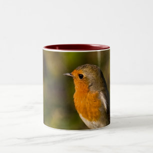 Tasse de Robin d'hiver