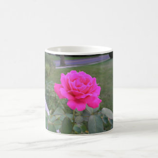Tasse de rose de rose