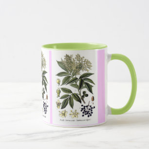 Tasse de Sambucus de baie de sureau