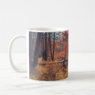 Tasse de scène de Fall River