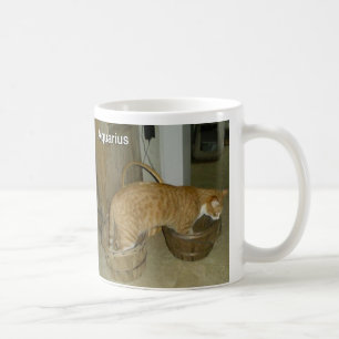 Tasse de signe de zodiaque de chat de Verseau