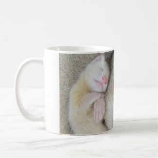 Tasse de sommeil de furet de maman et de bébé