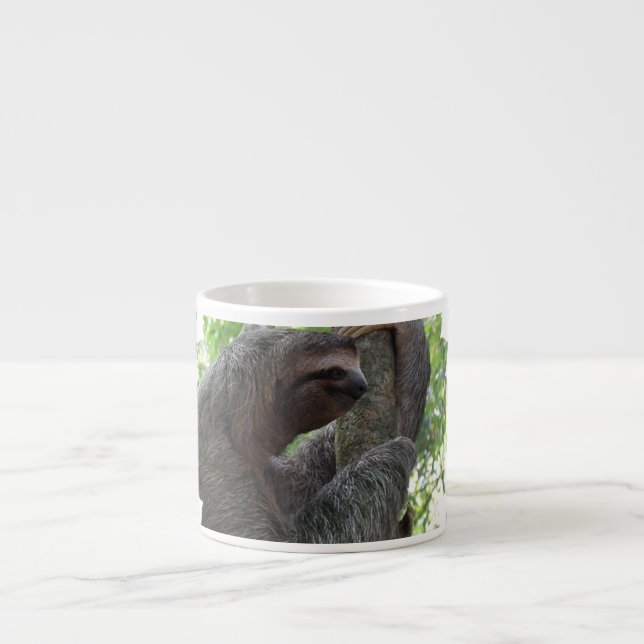 Tasse de spécialité de paresse d'escalade d'arbre (Devant)