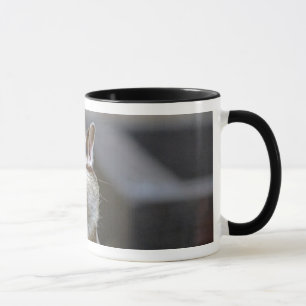 Tasse de tamia