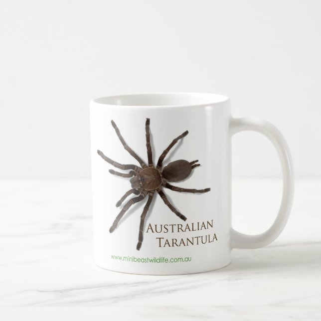 Tasse de tarentule (Droite)