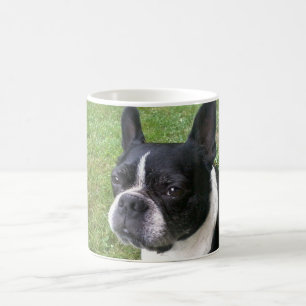 tasse de terrier de Boston