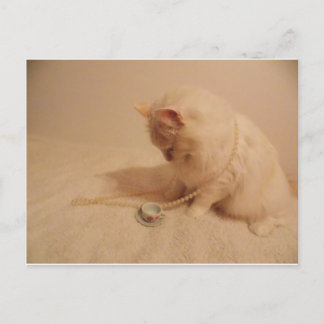 tasse de thé à la fête n kitty Carte postale
