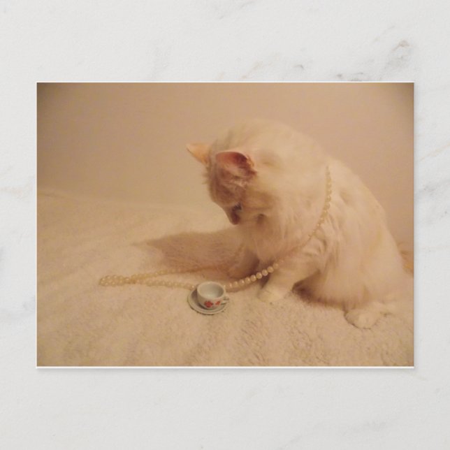 tasse de thé à la fête n kitty Carte postale (Devant)