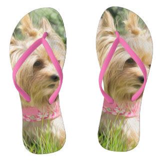 Tasse de thé Yorkie Tongs