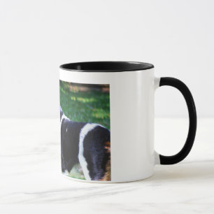 Tasse de Toby