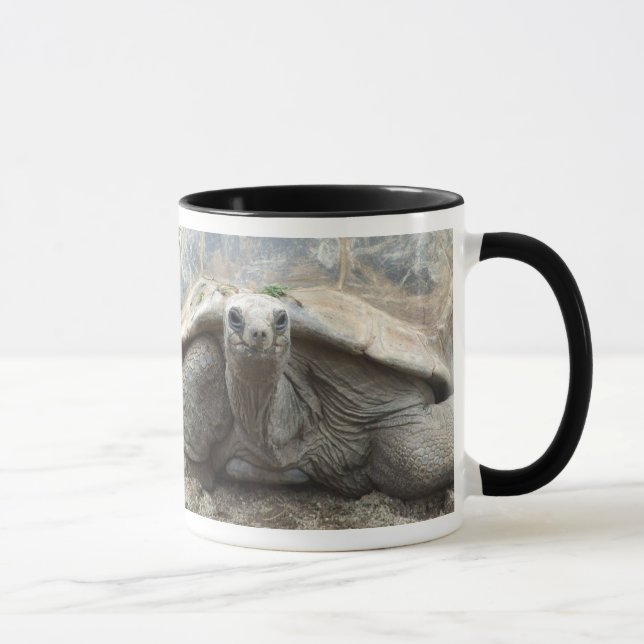 Tasse de tortue de Galapagos (Droite)
