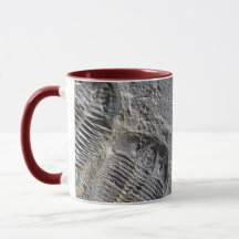 Tasse de Trilobite
