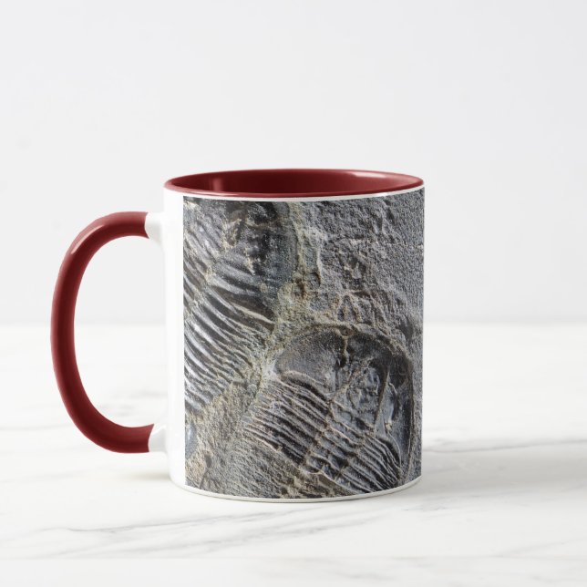 Tasse de Trilobite (Gauche)