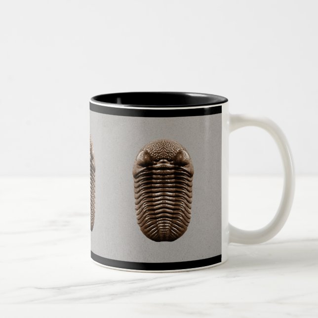 Tasse de Trilobite (Droit)