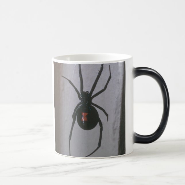 Tasse de veuve noire (Droite)