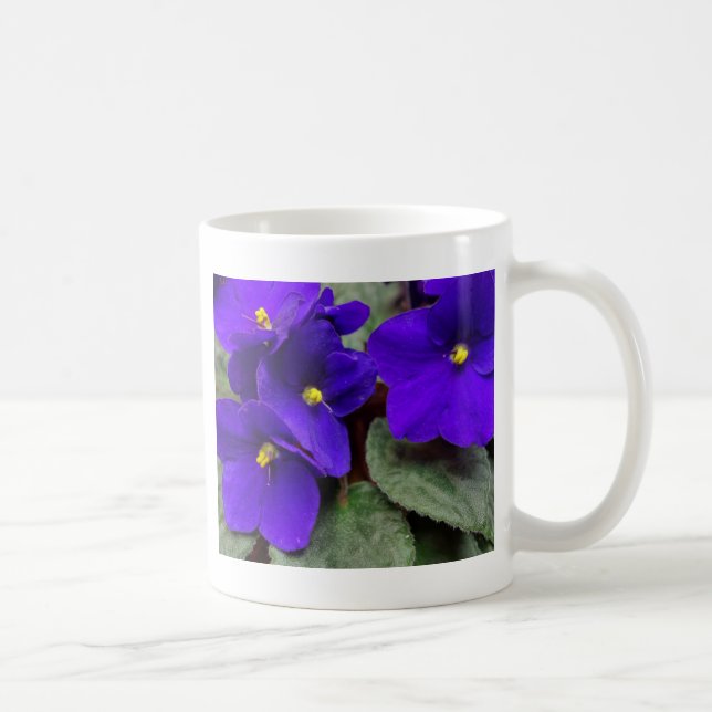 Tasse de violette africaine (Droite)