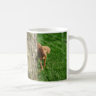 Tasse de Vizsla