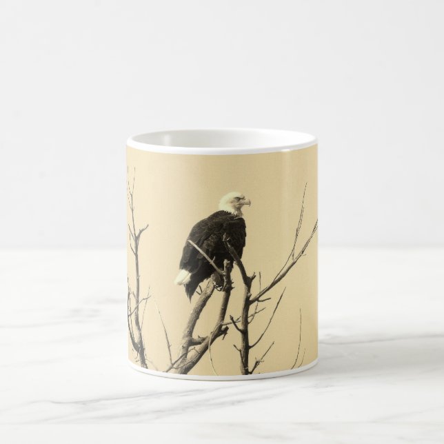 Tasse d'Eagle chauve (Centre)